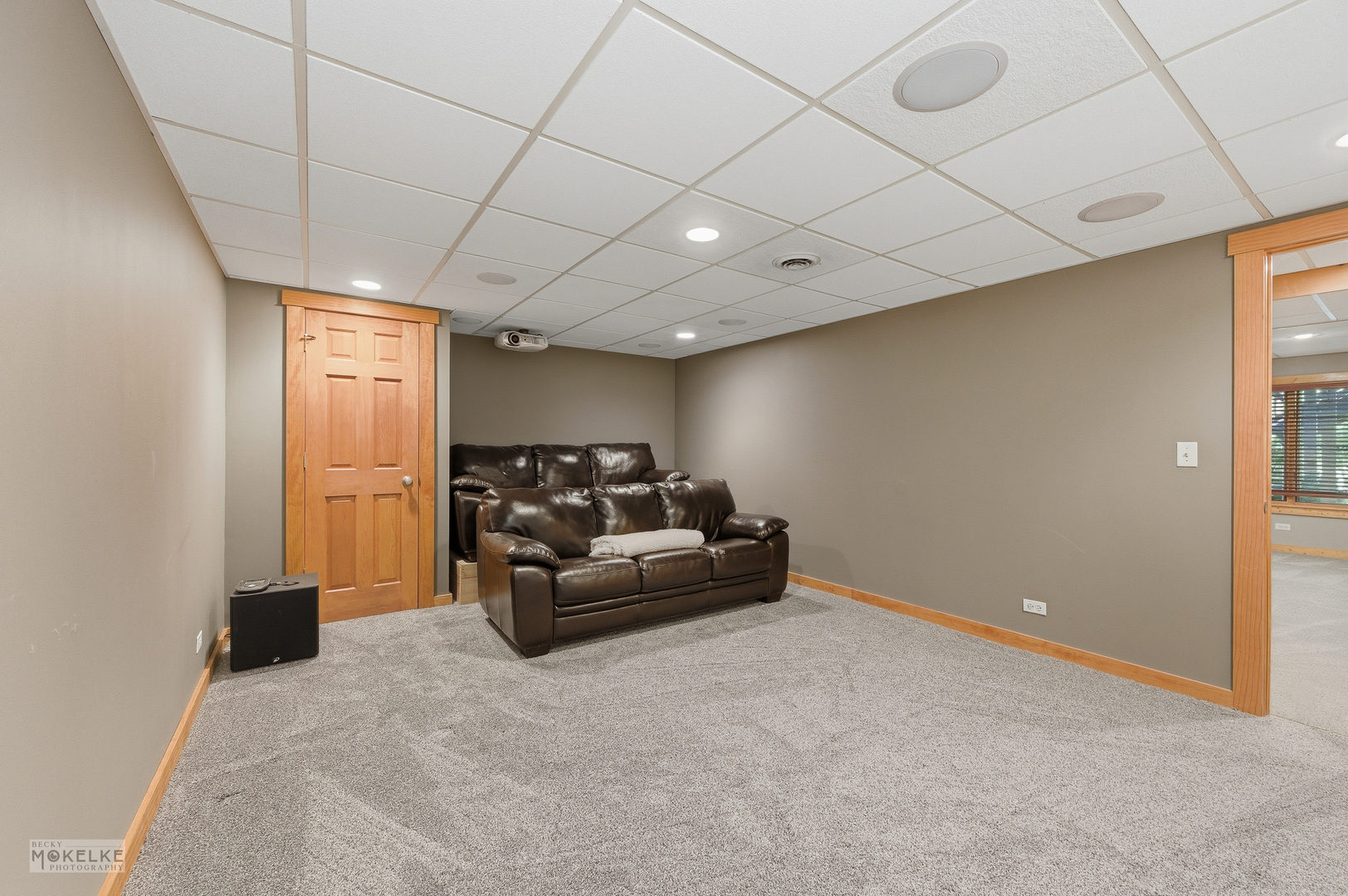 13822 Capista Drive, Plainfield, IL 60544