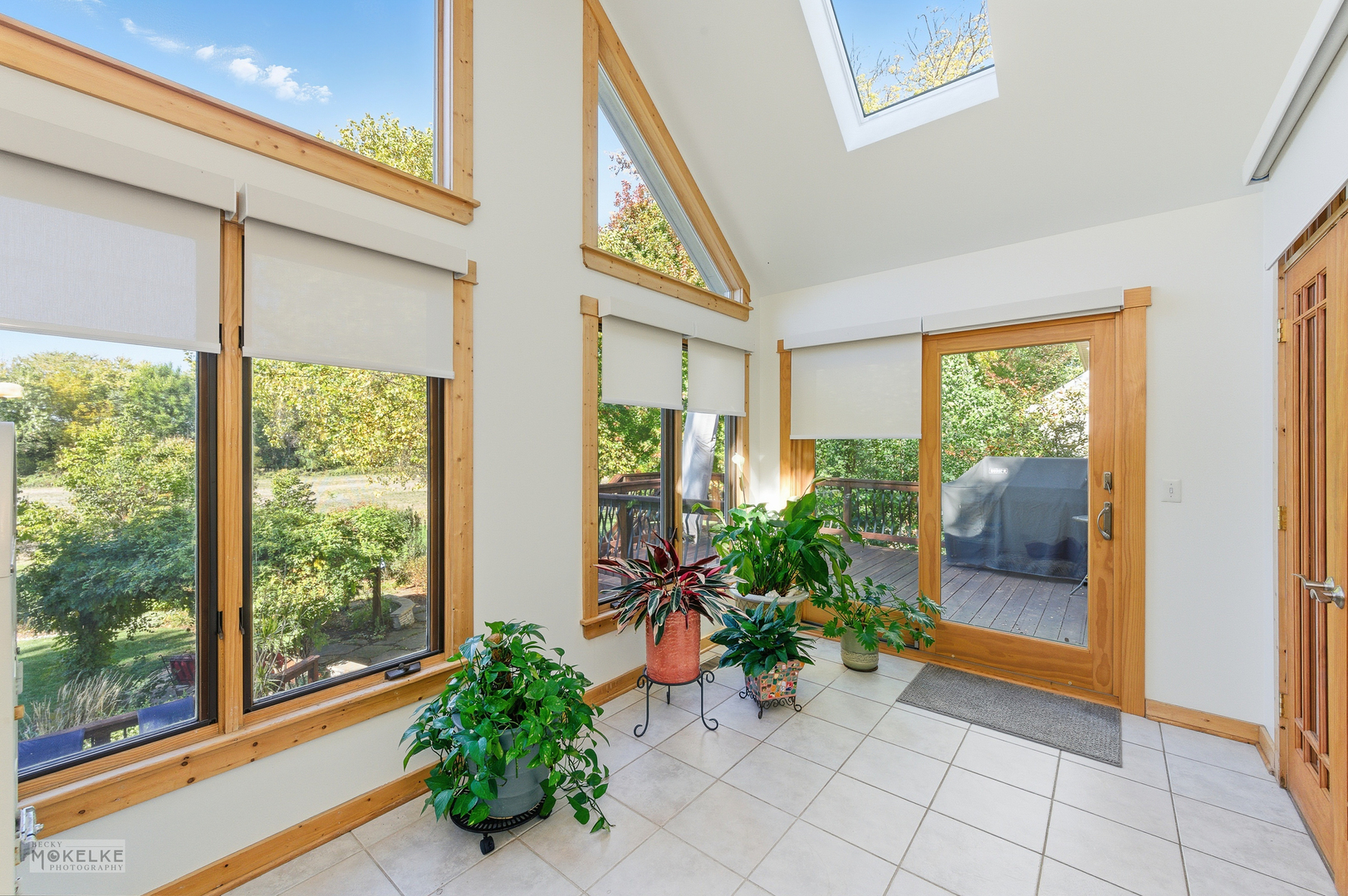 13822 Capista Drive, Plainfield, IL 60544