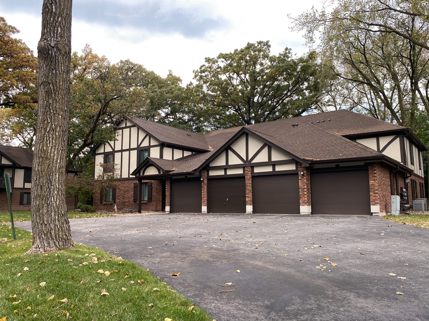 11210 Sycamore Lane #61C, Palos Hills, IL 60465