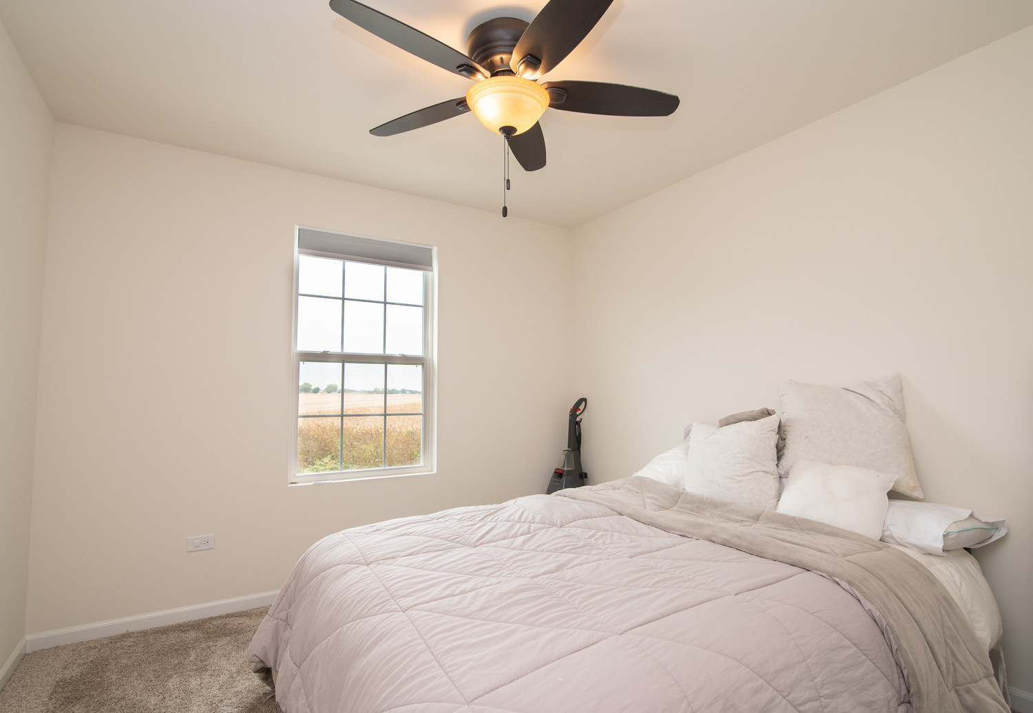 26536 W Red Apple Road, Plainfield, IL 60585