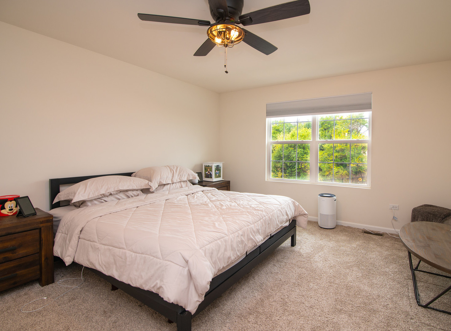 26536 W Red Apple Road, Plainfield, IL 60585