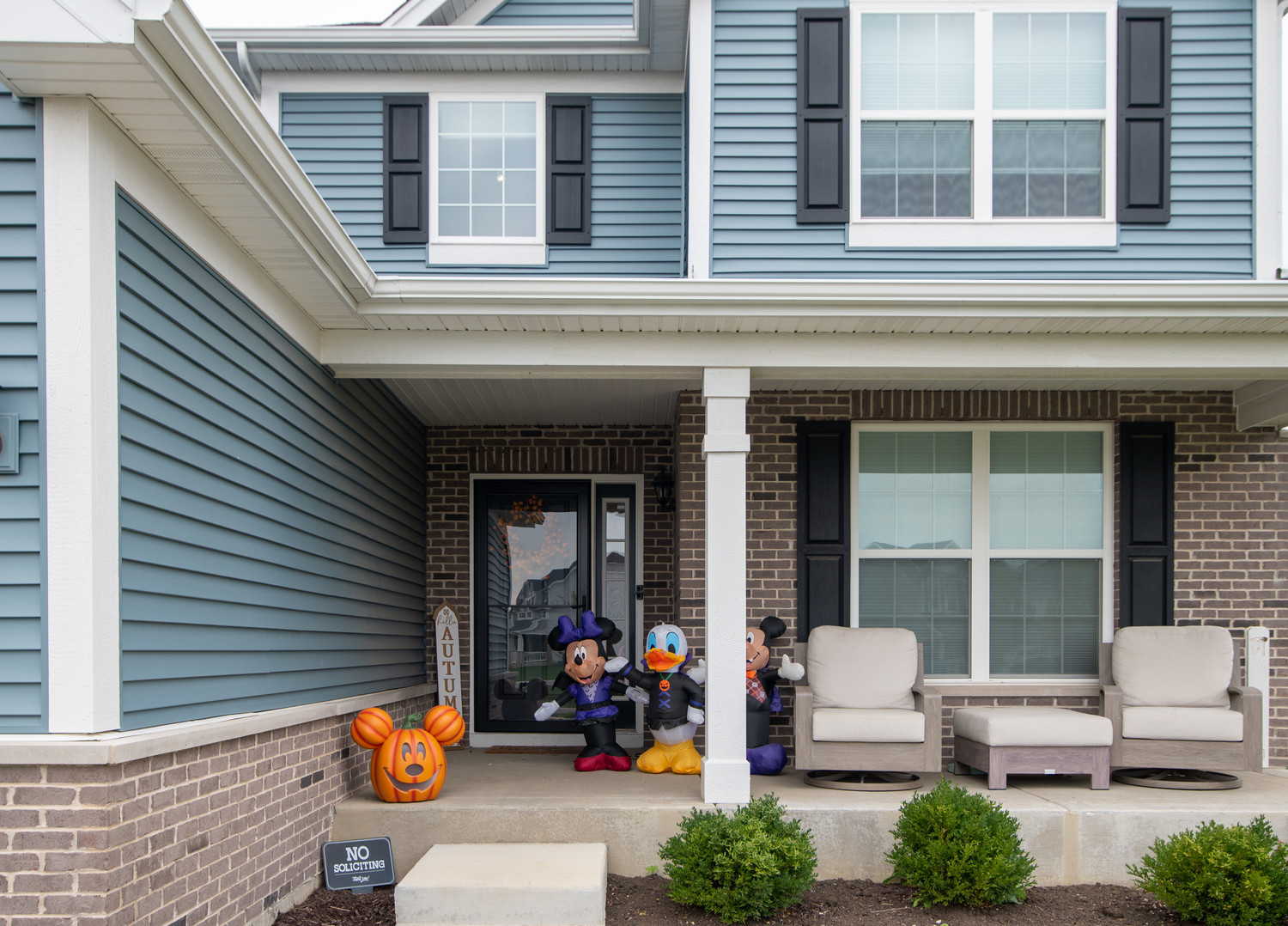 26536 W Red Apple Road, Plainfield, IL 60585