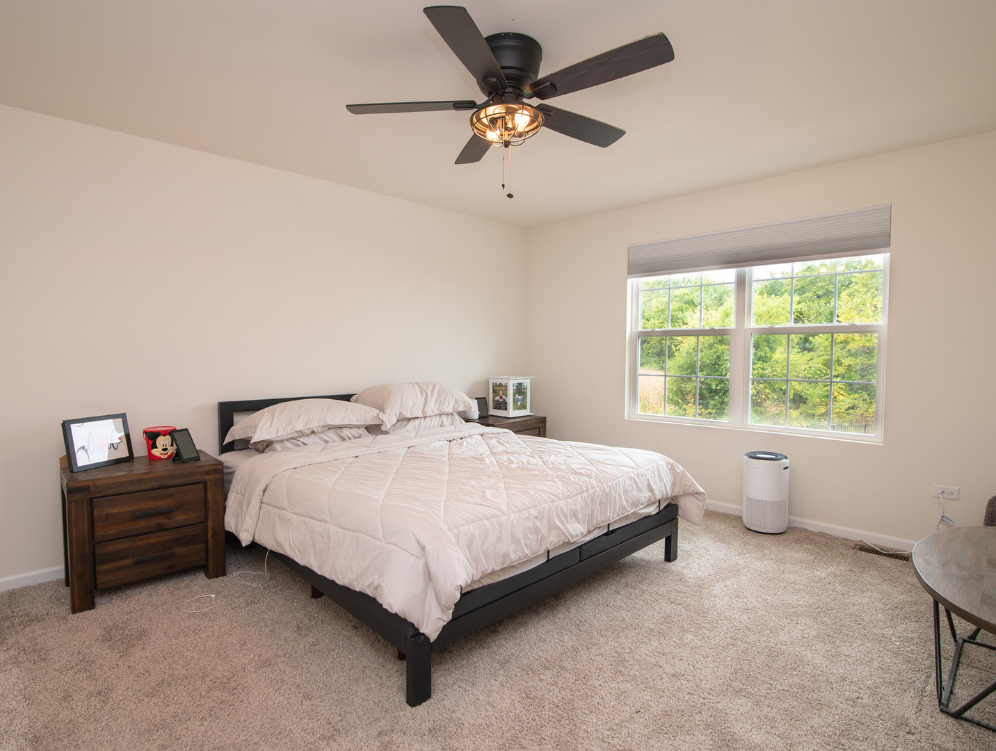 26536 W Red Apple Road, Plainfield, IL 60585