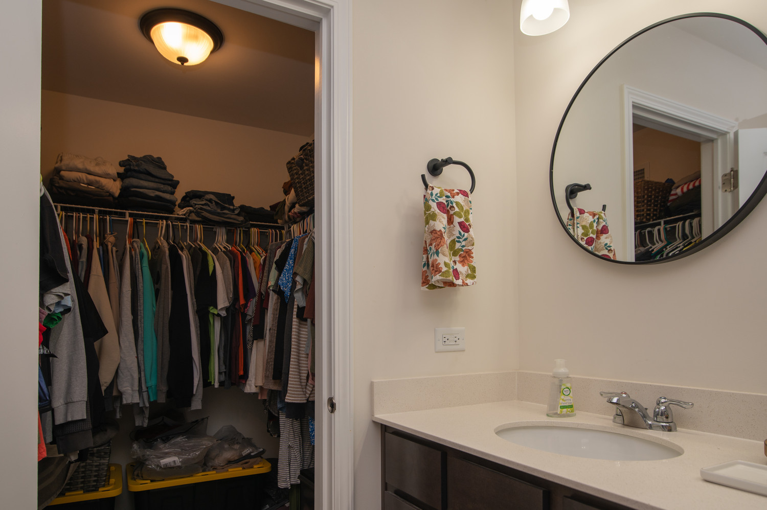 26536 W Red Apple Road, Plainfield, IL 60585