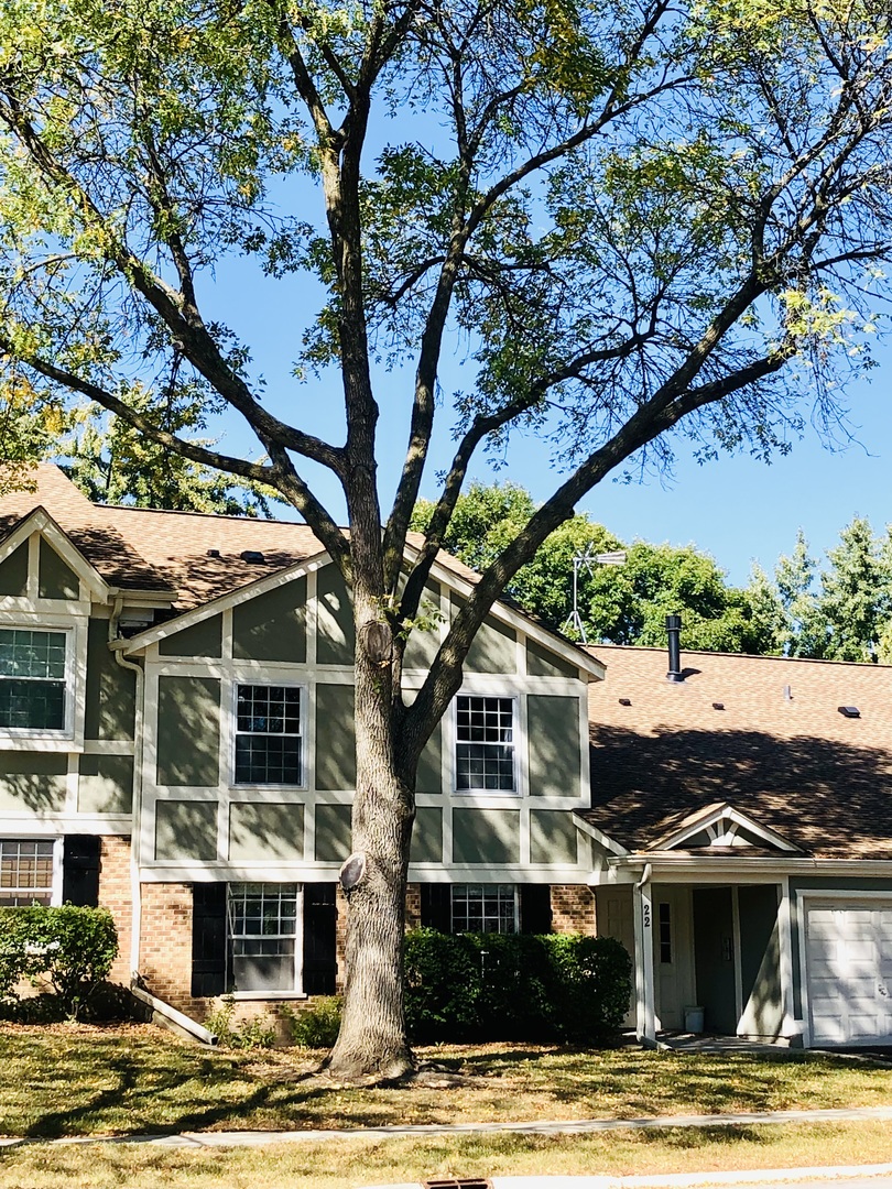22 Waterbury Lane #N1, Schaumburg, IL 60193