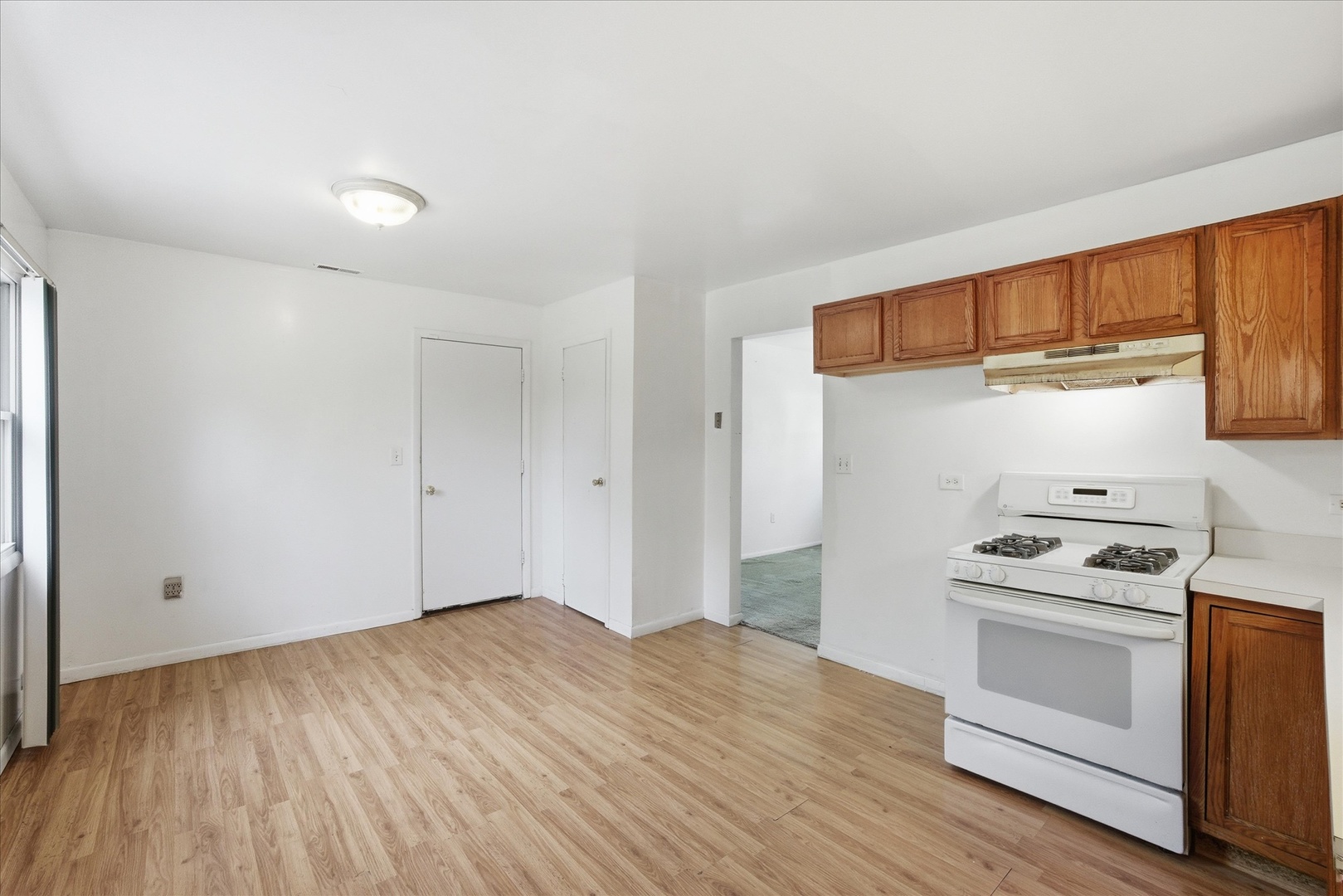 21943 E Churchill Drive, Richton Park, IL 60471