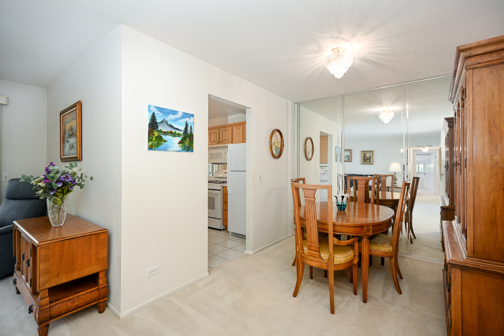 228 Arrowwood Court #D1, Schaumburg, IL 60193