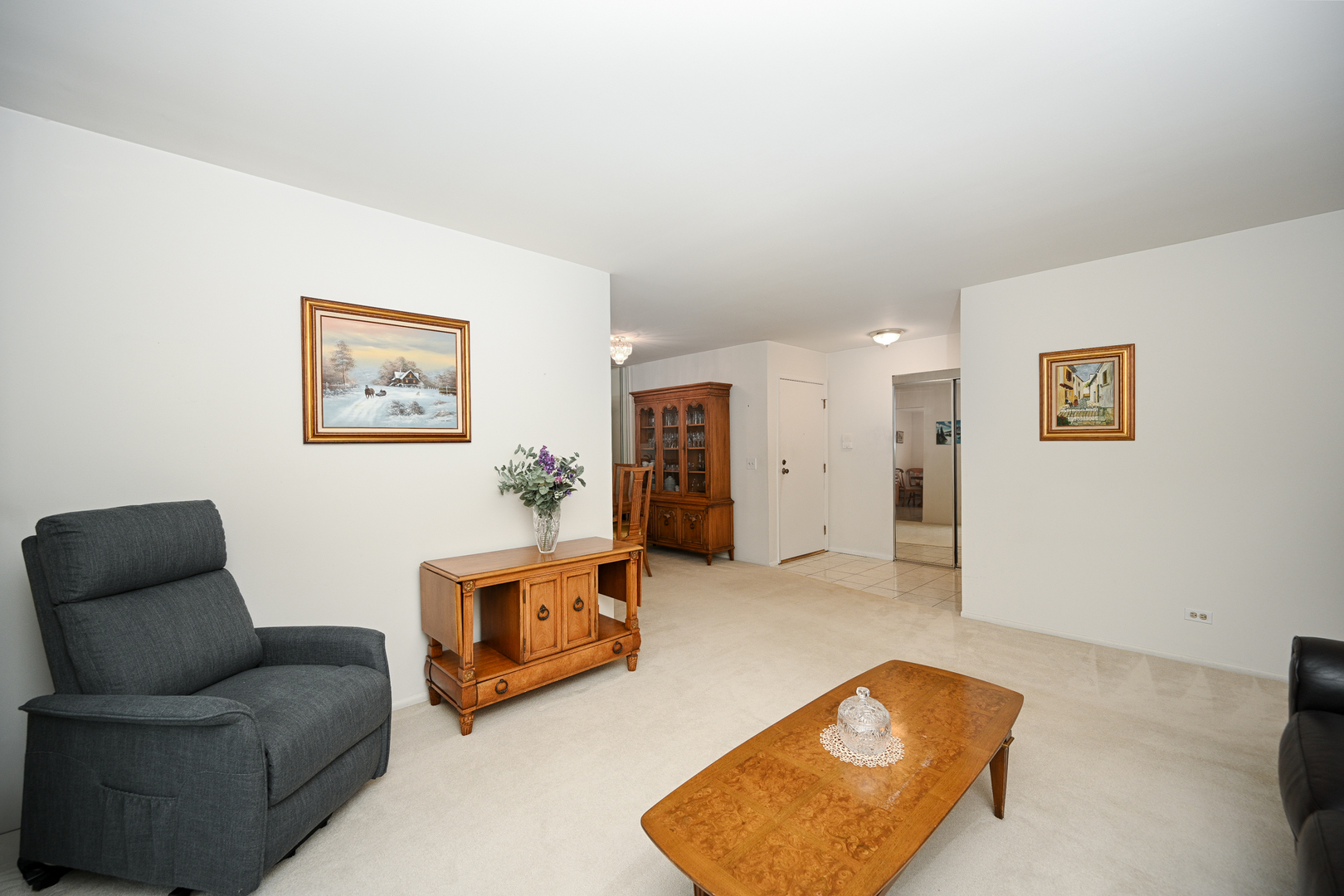 228 Arrowwood Court #D1, Schaumburg, IL 60193