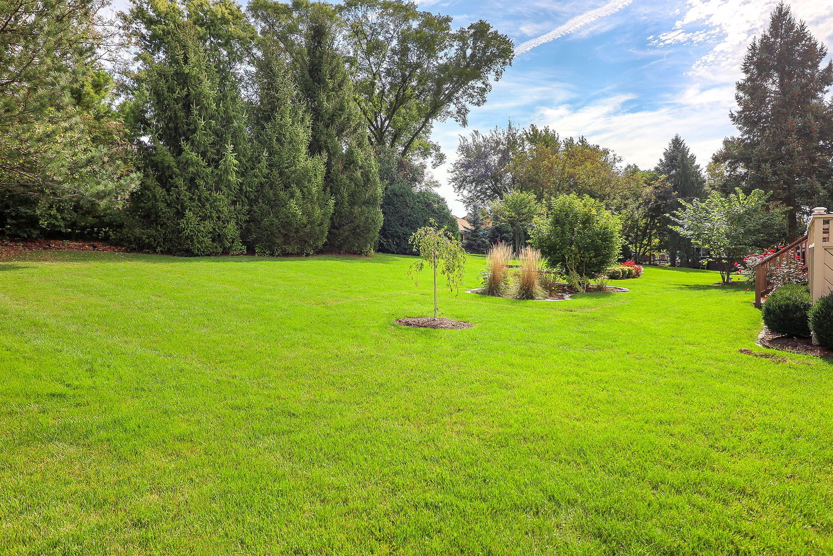 9S251 Graceland Street, Downers Grove, IL 60516