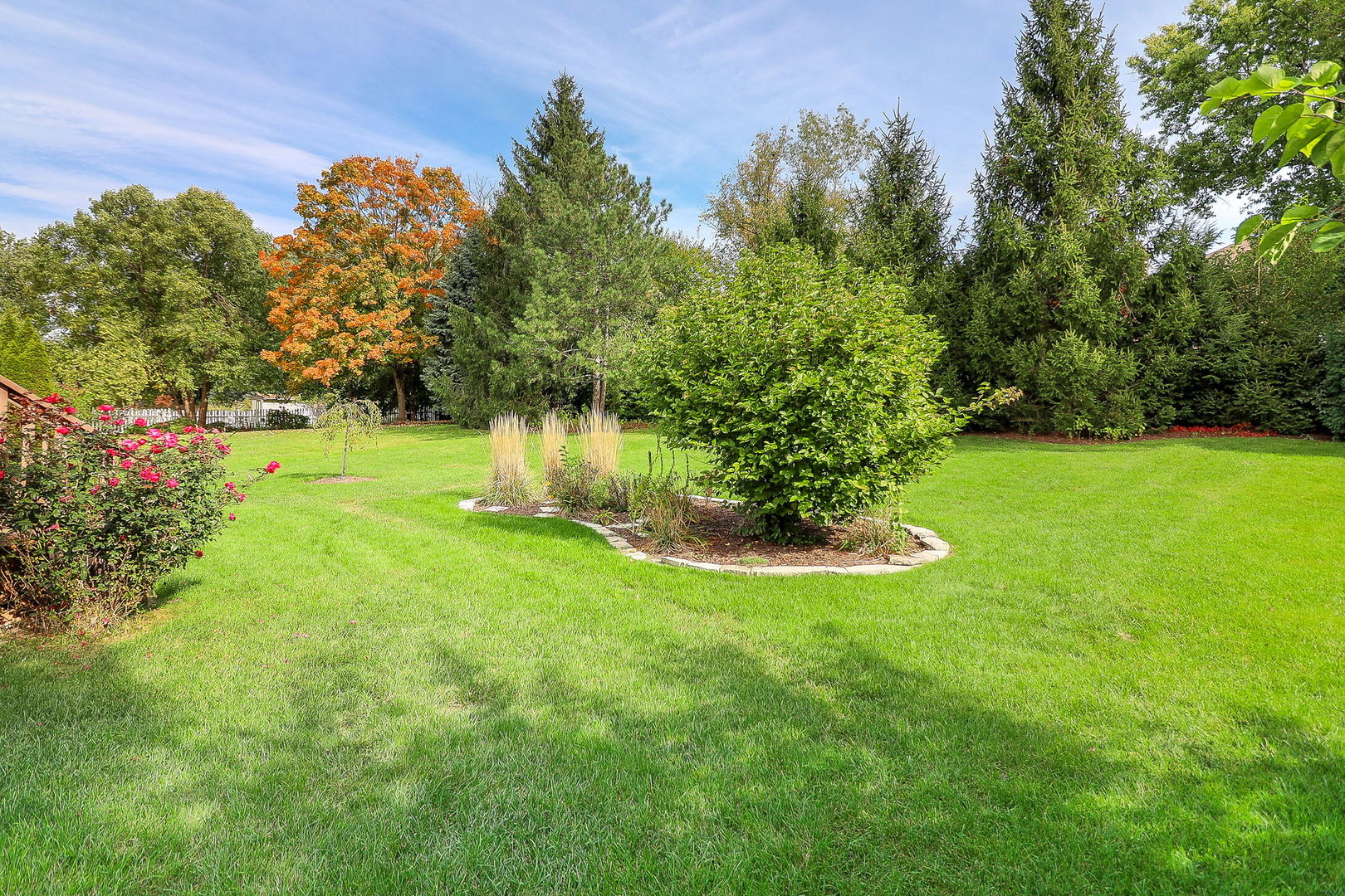 9S251 Graceland Street, Downers Grove, IL 60516