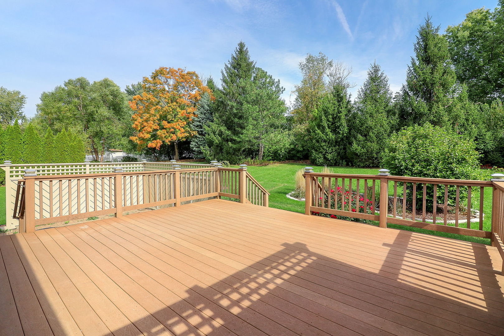 9S251 Graceland Street, Downers Grove, IL 60516