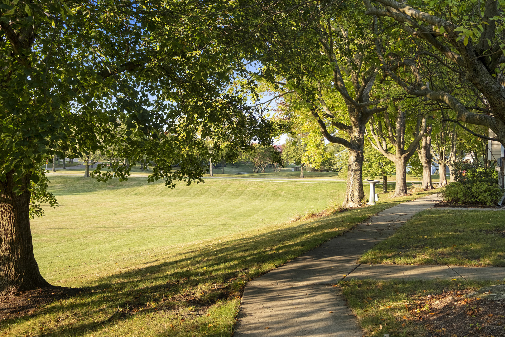 403 E Willow Street #403, Elburn, IL 60119