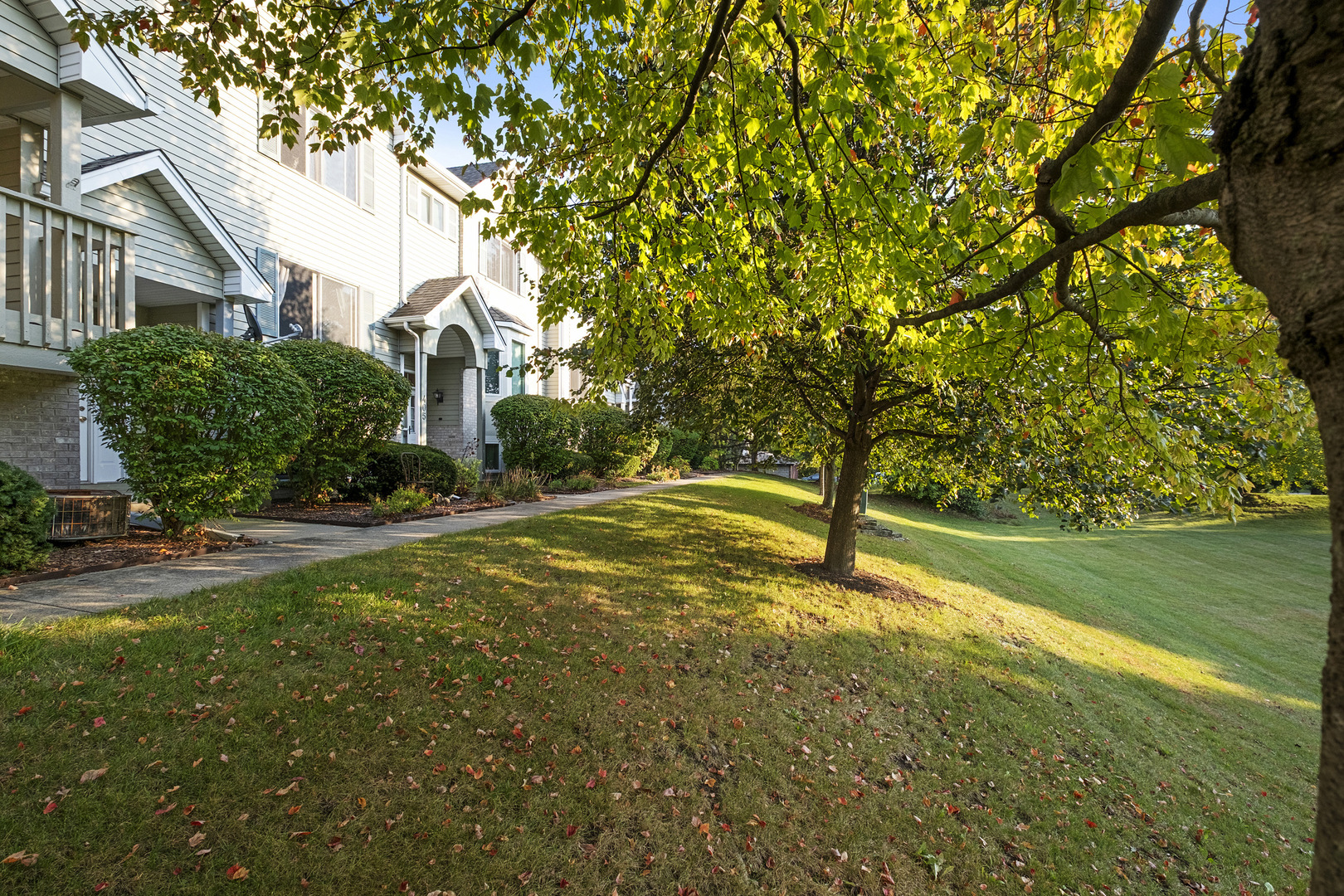 403 E Willow Street #403, Elburn, IL 60119