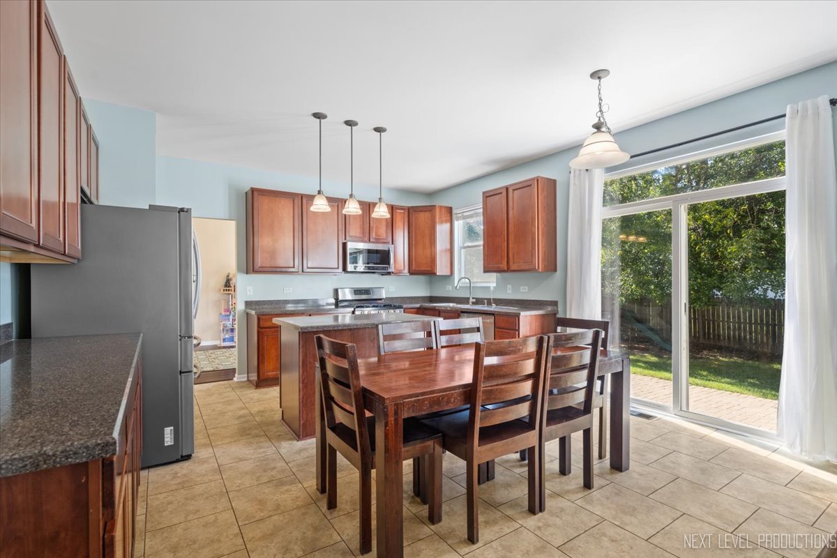 1213 Bridgehampton Drive, Plainfield, IL 60586