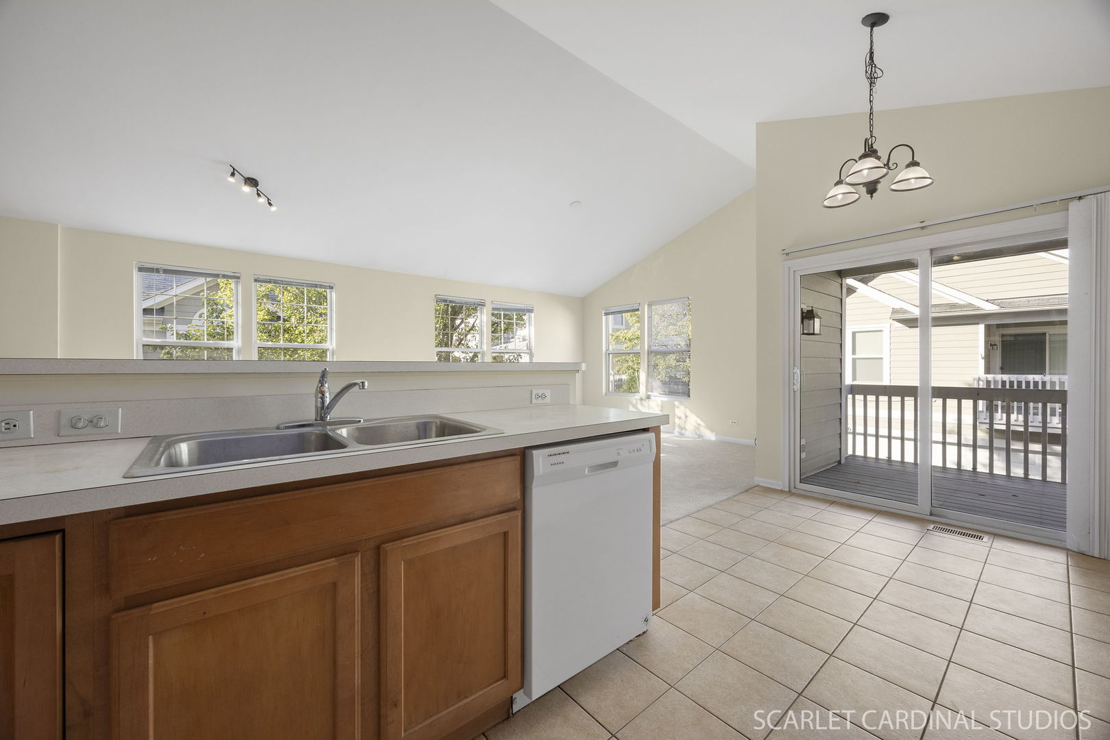 2464 Emily Lane, Elgin, IL 60124