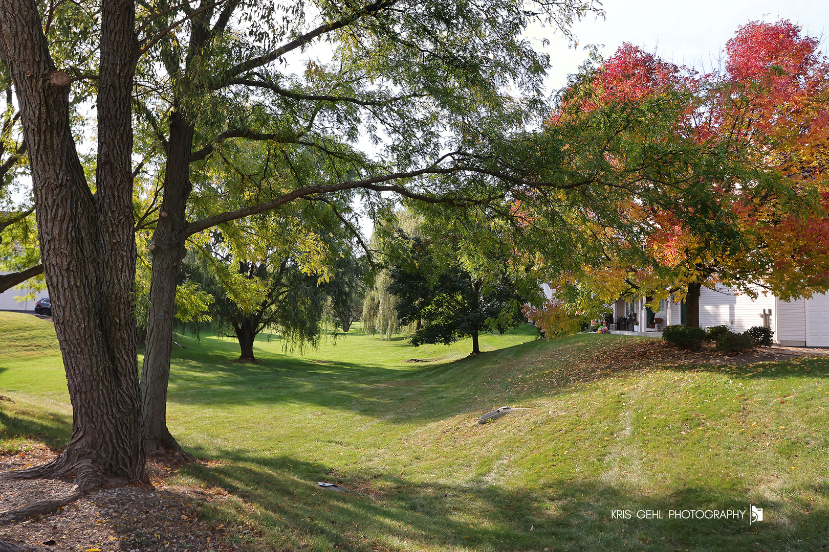 576 Windsor Drive #370, Fox Lake, IL 60020