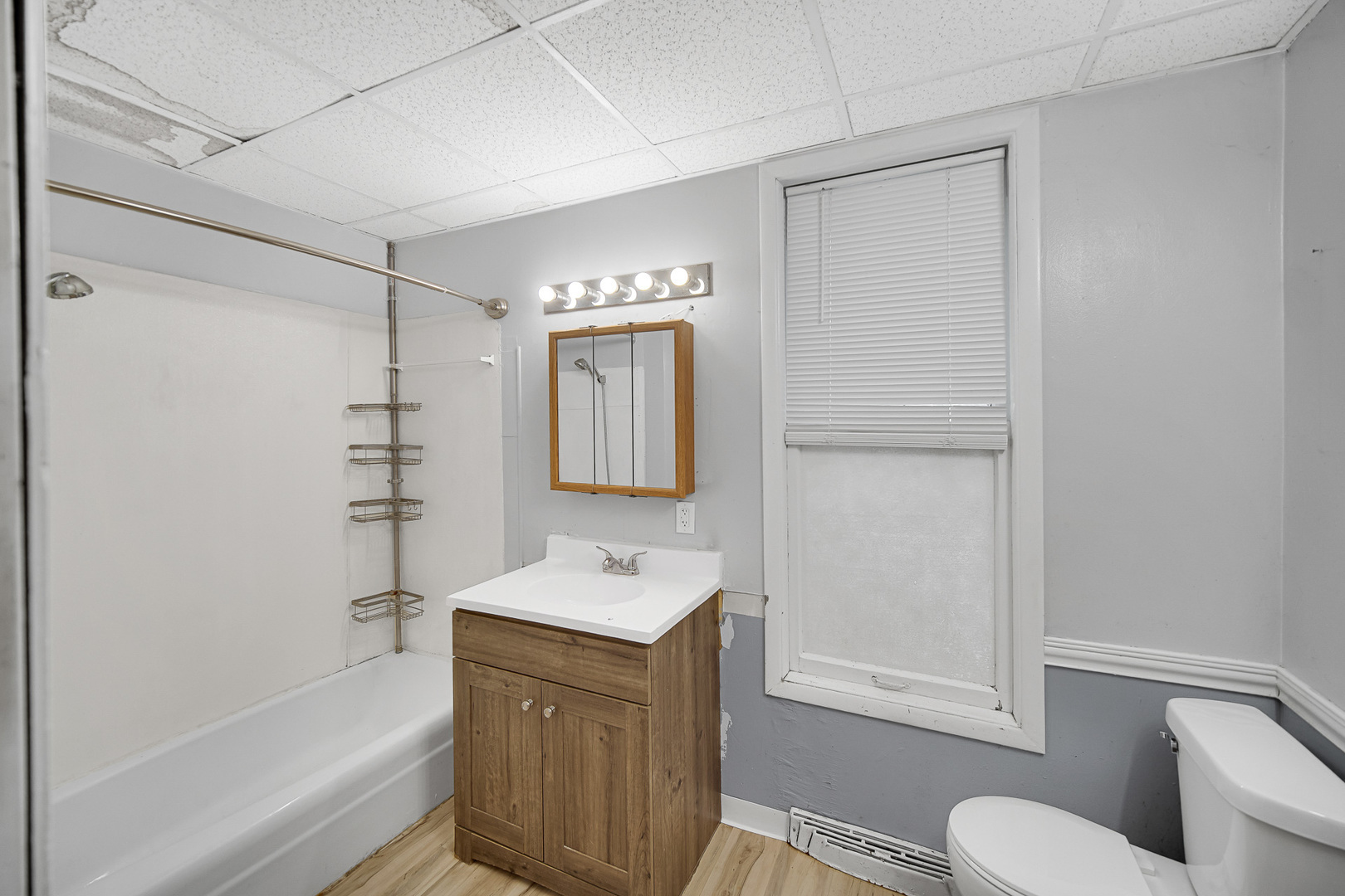 123 W Waupansie Street #1, Dwight, IL 60420