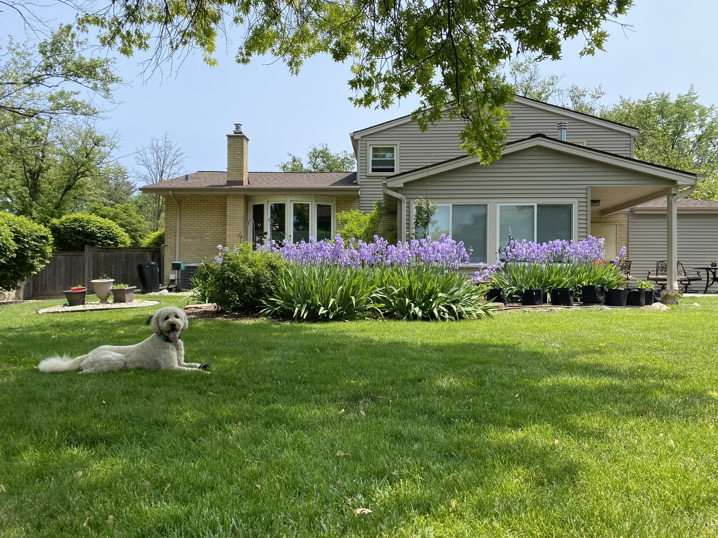 3537 Maple Leaf Drive, Glenview, IL 60026