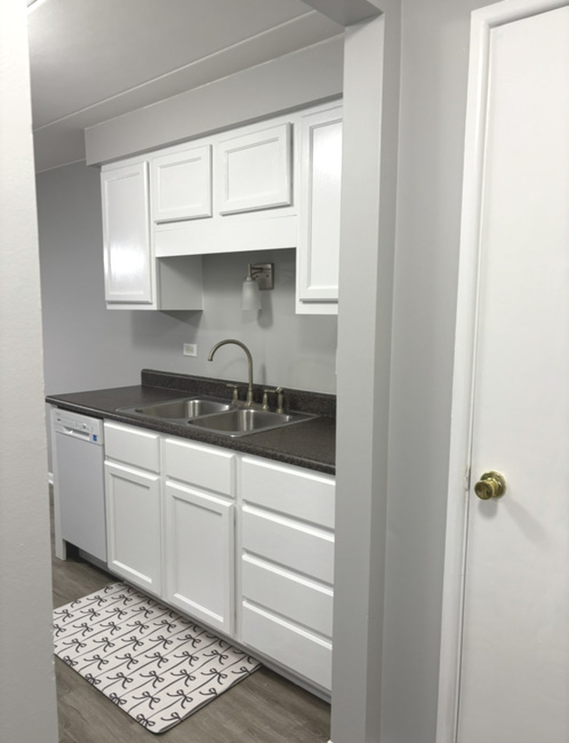 3955 W 104th Street #2B, Chicago, IL 60655