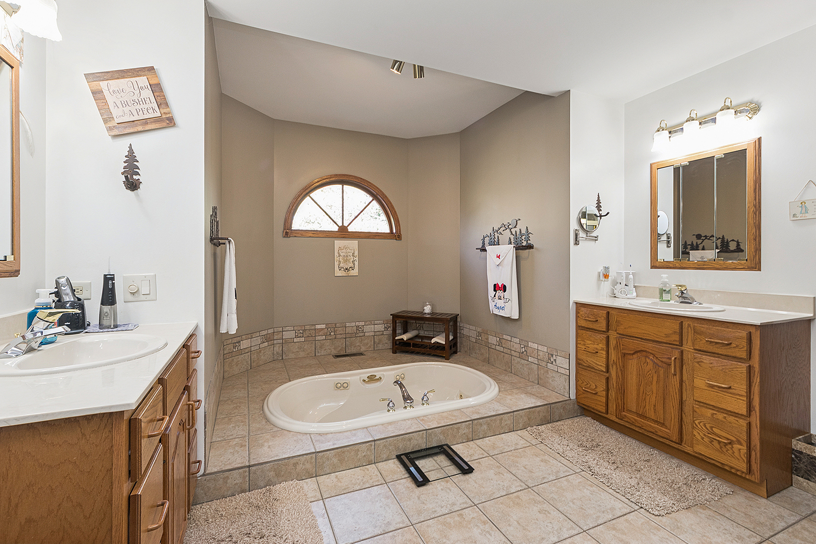 1110 Lakeside Drive, New Lenox, IL 60451