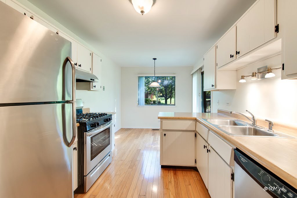 1251 Williamsburg Drive #D-1, Schaumburg, IL 60193