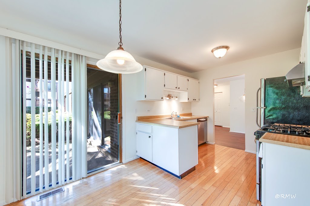 1251 Williamsburg Drive #D-1, Schaumburg, IL 60193