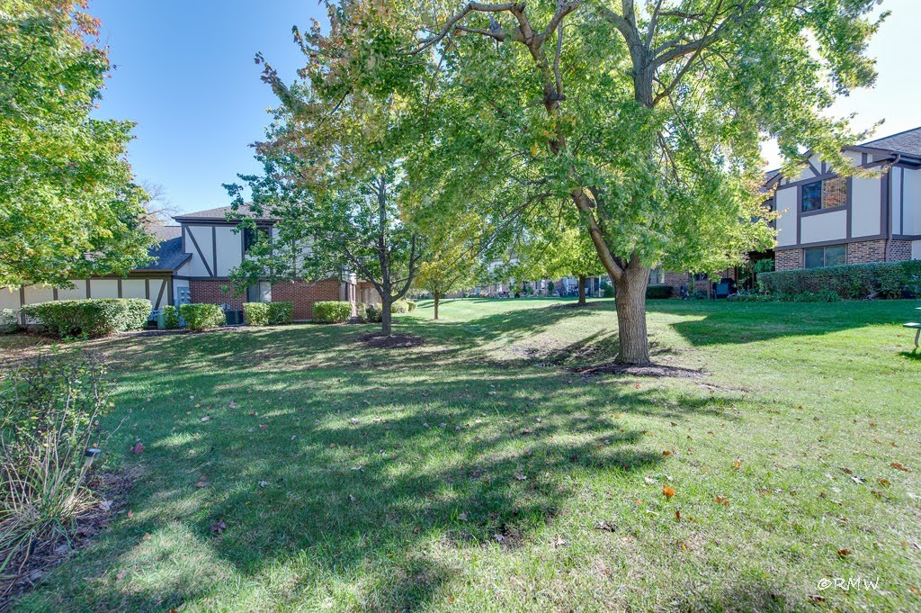 1251 Williamsburg Drive #D-1, Schaumburg, IL 60193