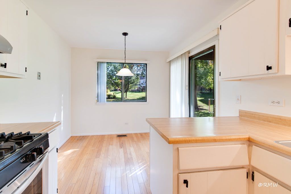 1251 Williamsburg Drive #D-1, Schaumburg, IL 60193