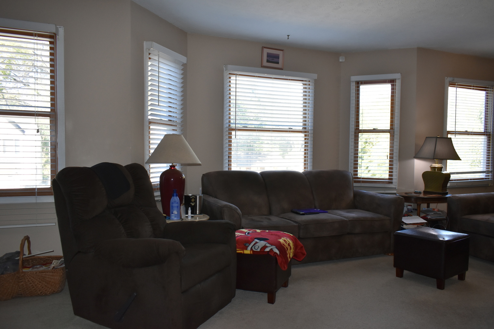 1316 S Hinshaw Avenue, Bloomington, IL 61701