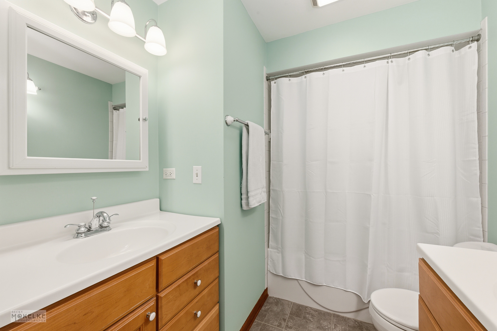 1501 Clarkson Court, Naperville, IL 60565