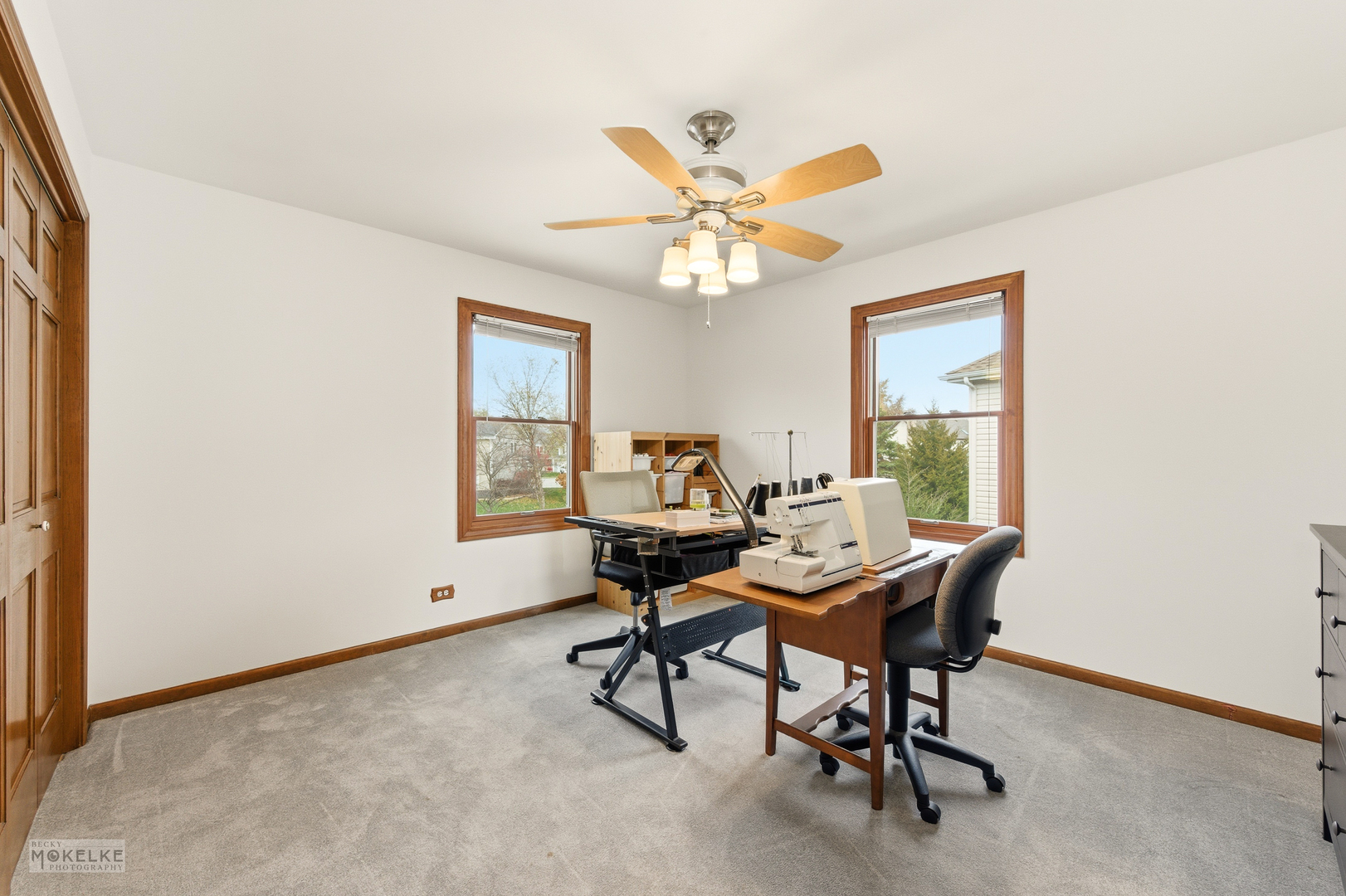 1501 Clarkson Court, Naperville, IL 60565