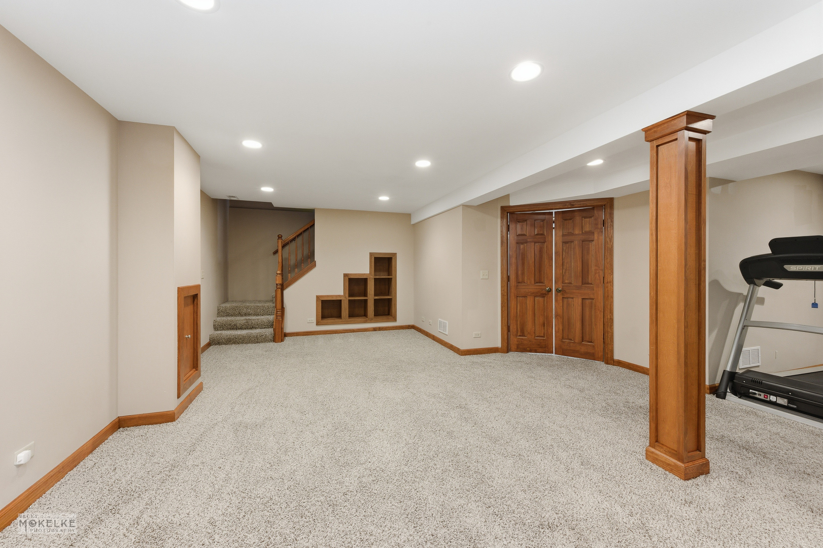 1501 Clarkson Court, Naperville, IL 60565