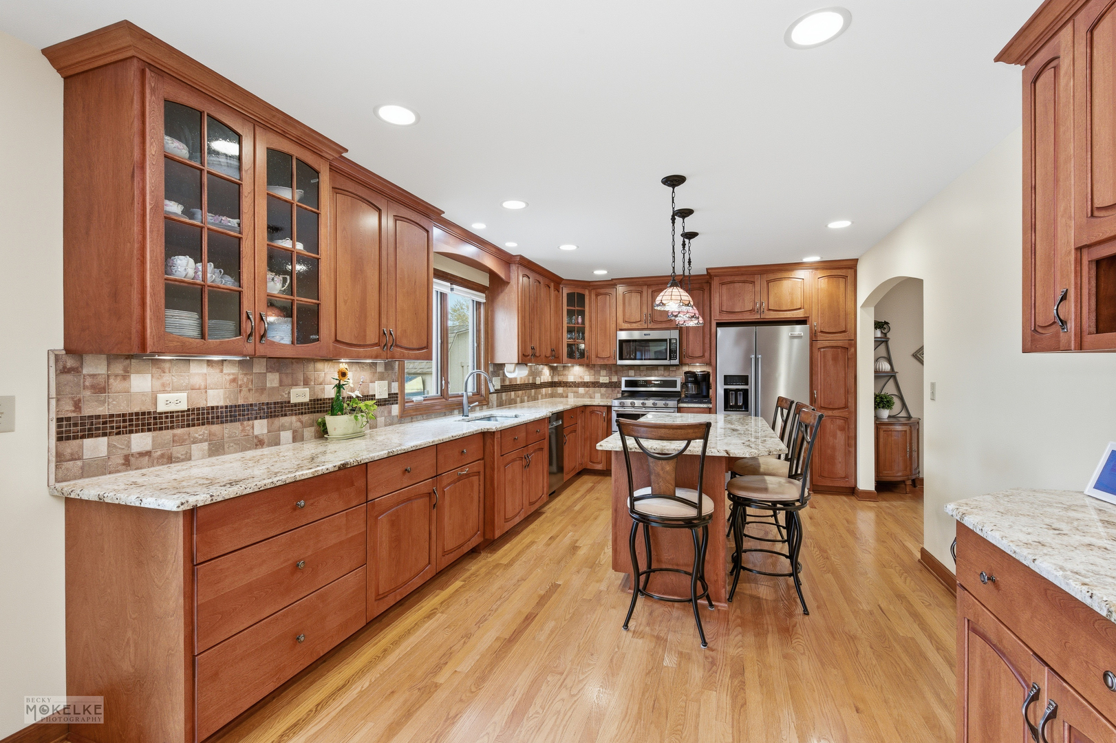 1501 Clarkson Court, Naperville, IL 60565