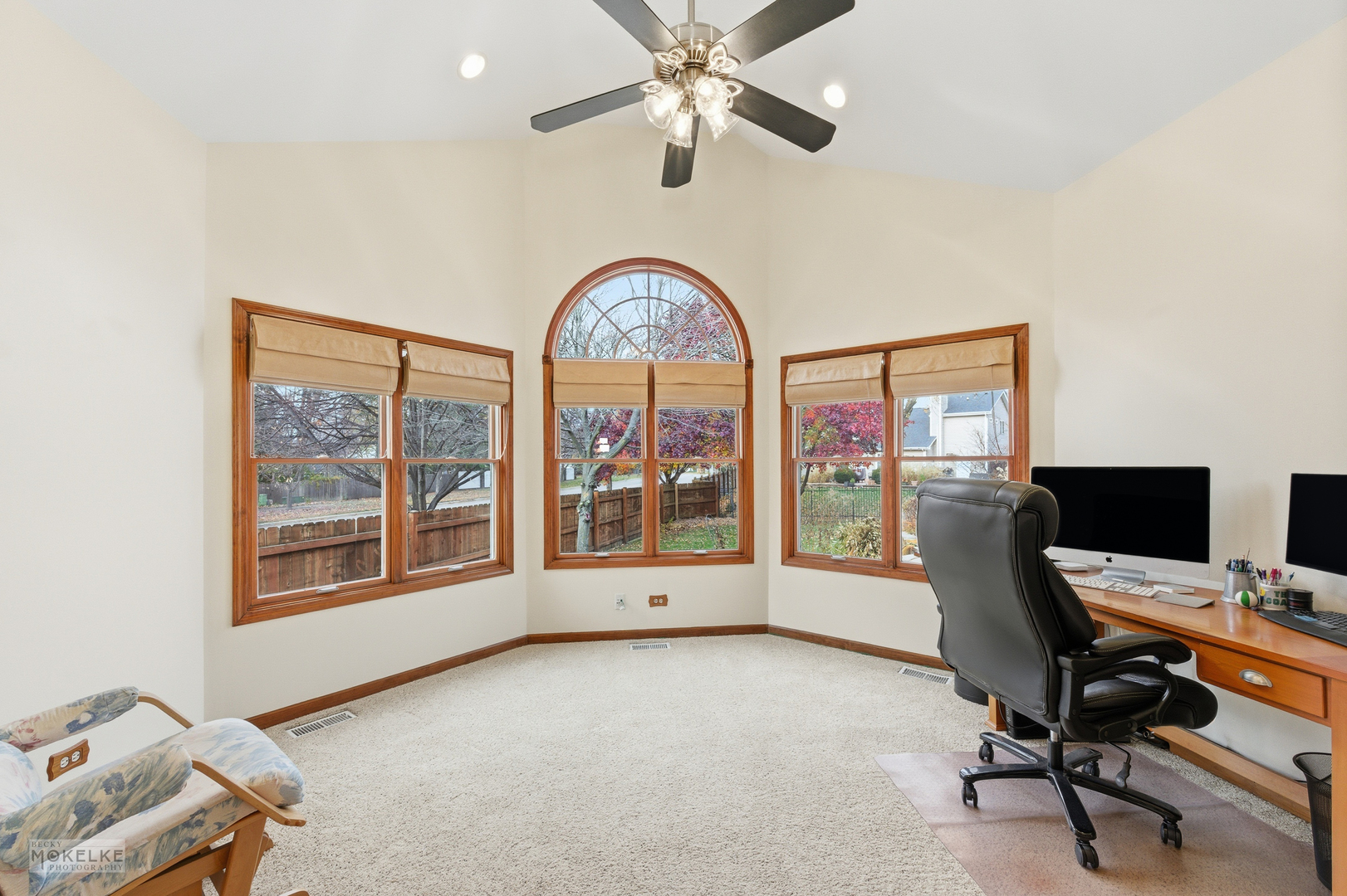 1501 Clarkson Court, Naperville, IL 60565