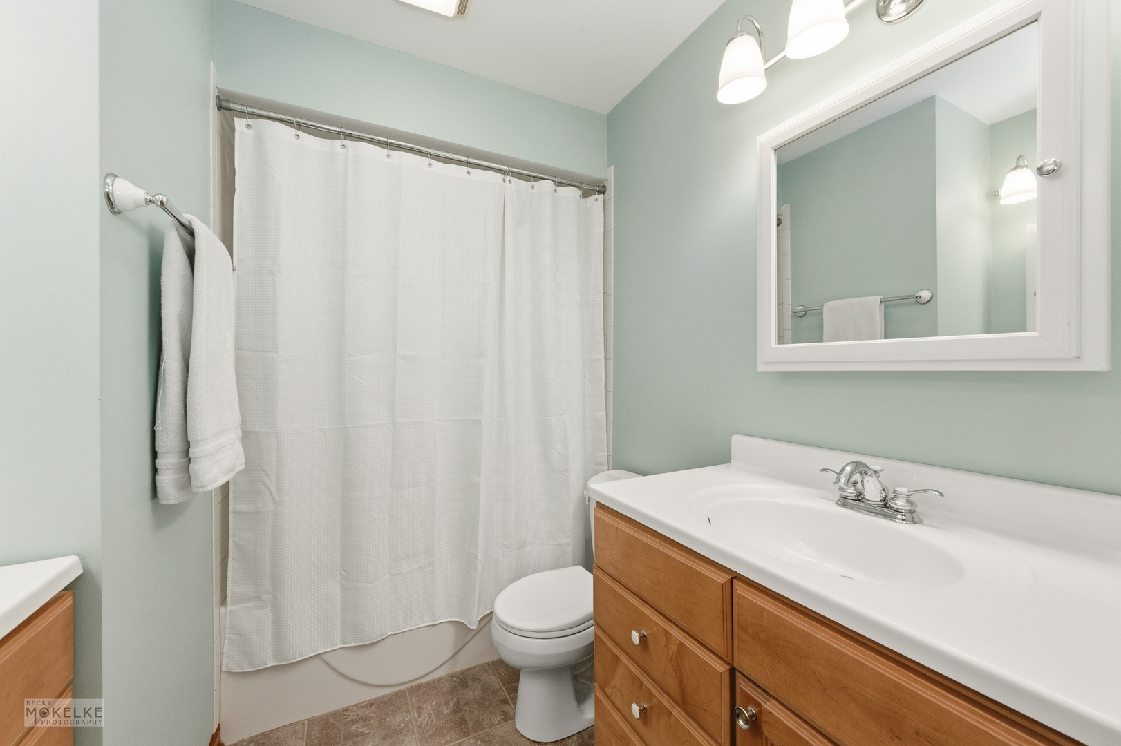 1501 Clarkson Court, Naperville, IL 60565