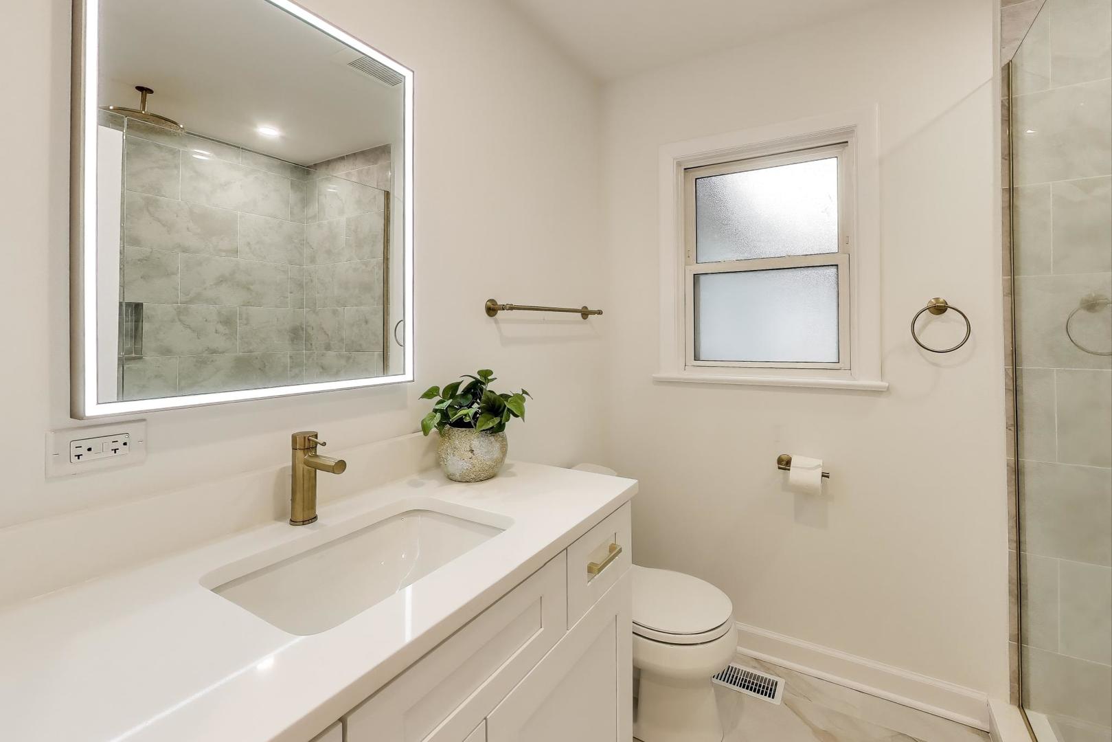 832 N Delphia Avenue, Park Ridge, IL 60068