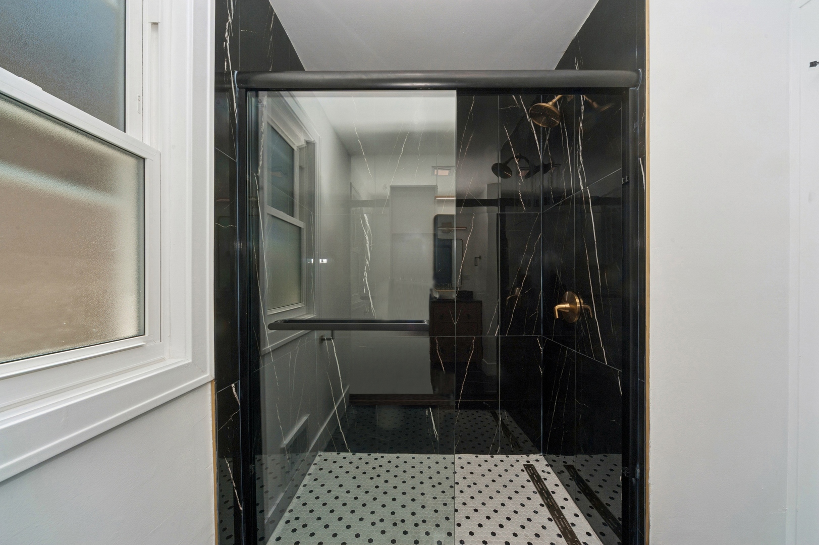 1037 Dodge Avenue, Evanston, IL 60202