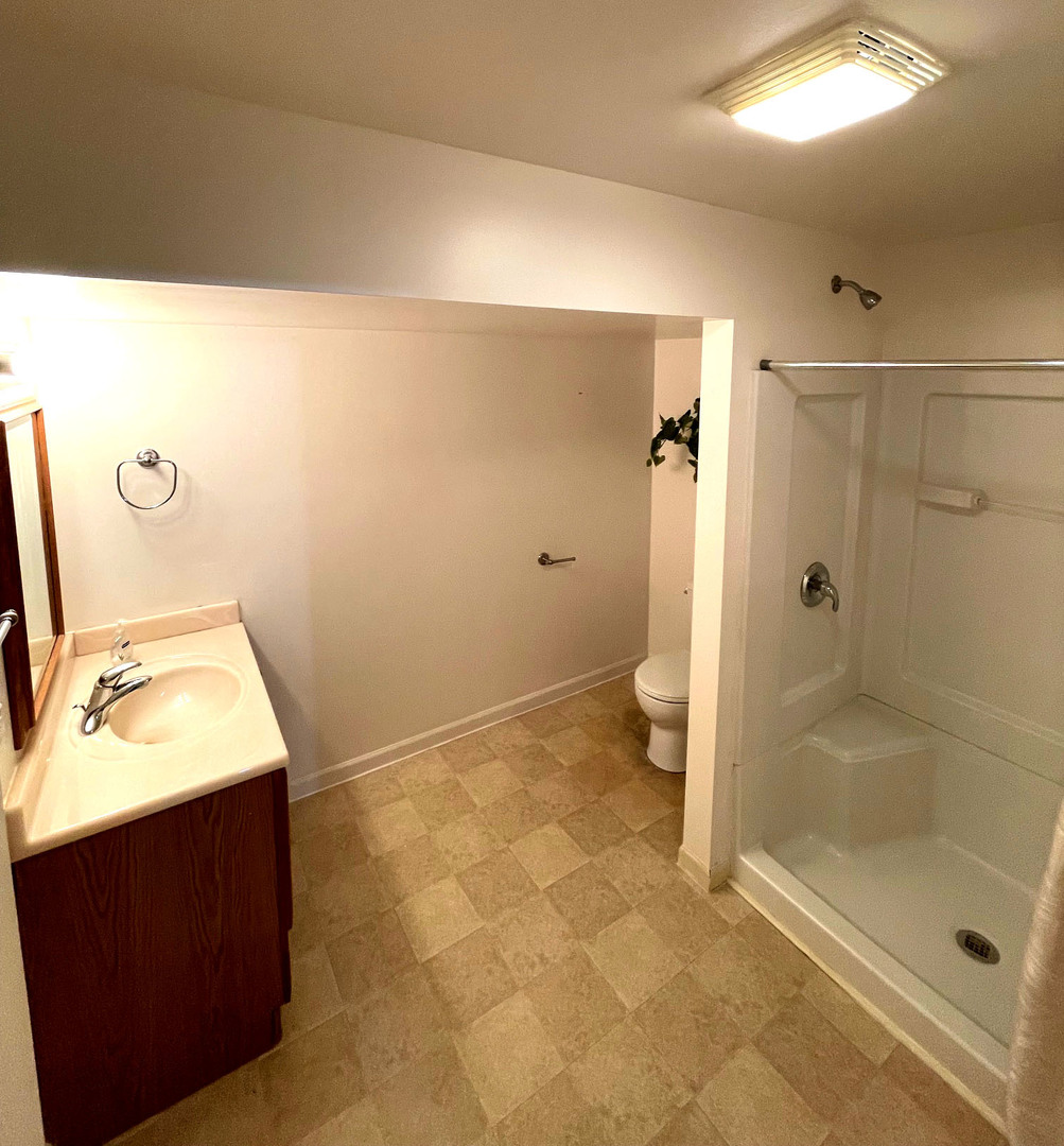 25022 Steeple Chase Drive, Plainfield, IL 60585