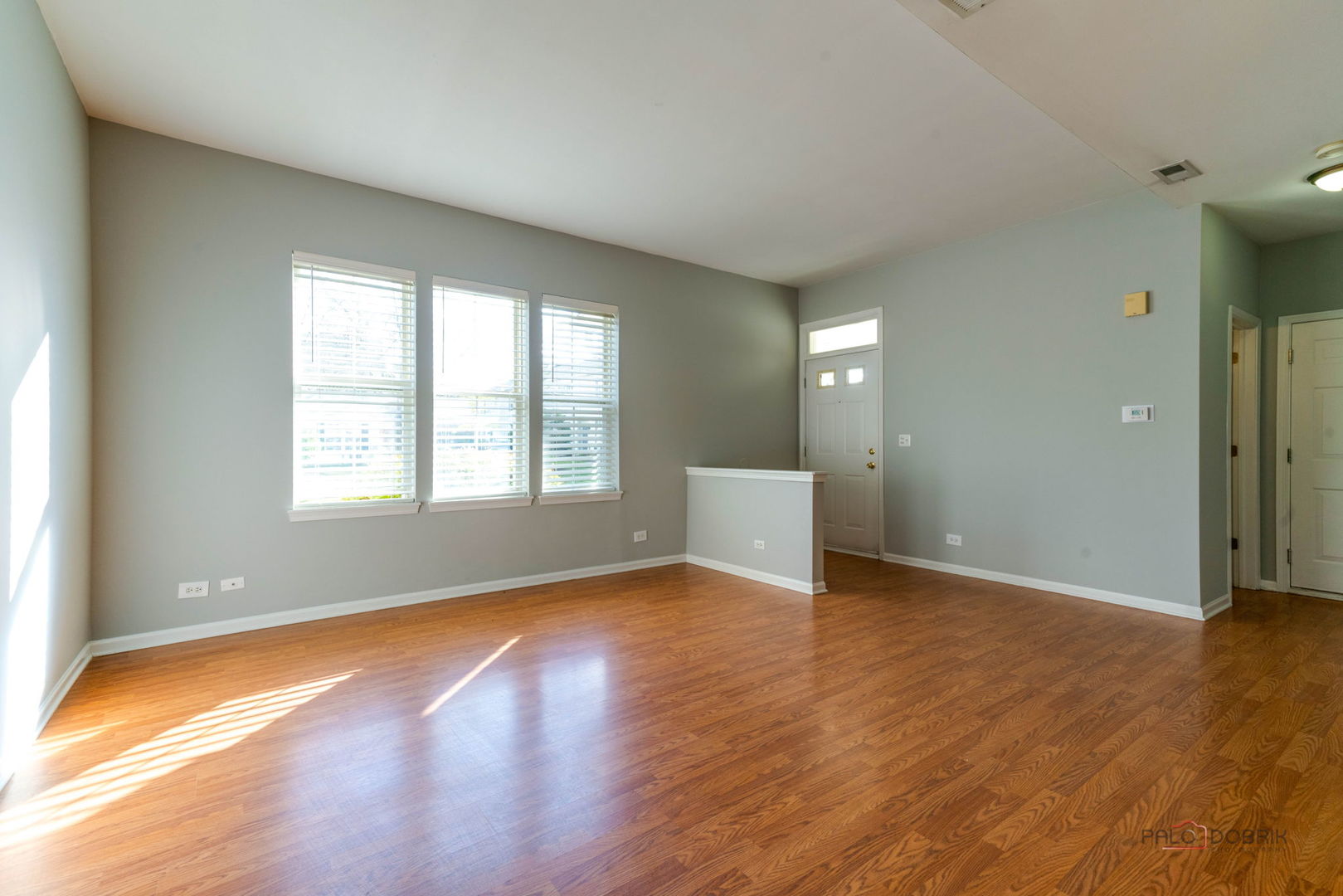 2858 Falling Waters Lane, Lindenhurst, IL 60046