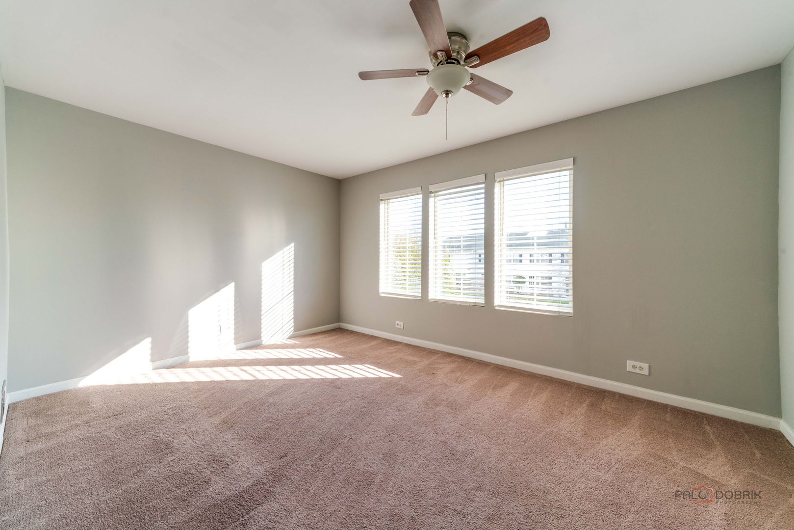 2858 Falling Waters Lane, Lindenhurst, IL 60046