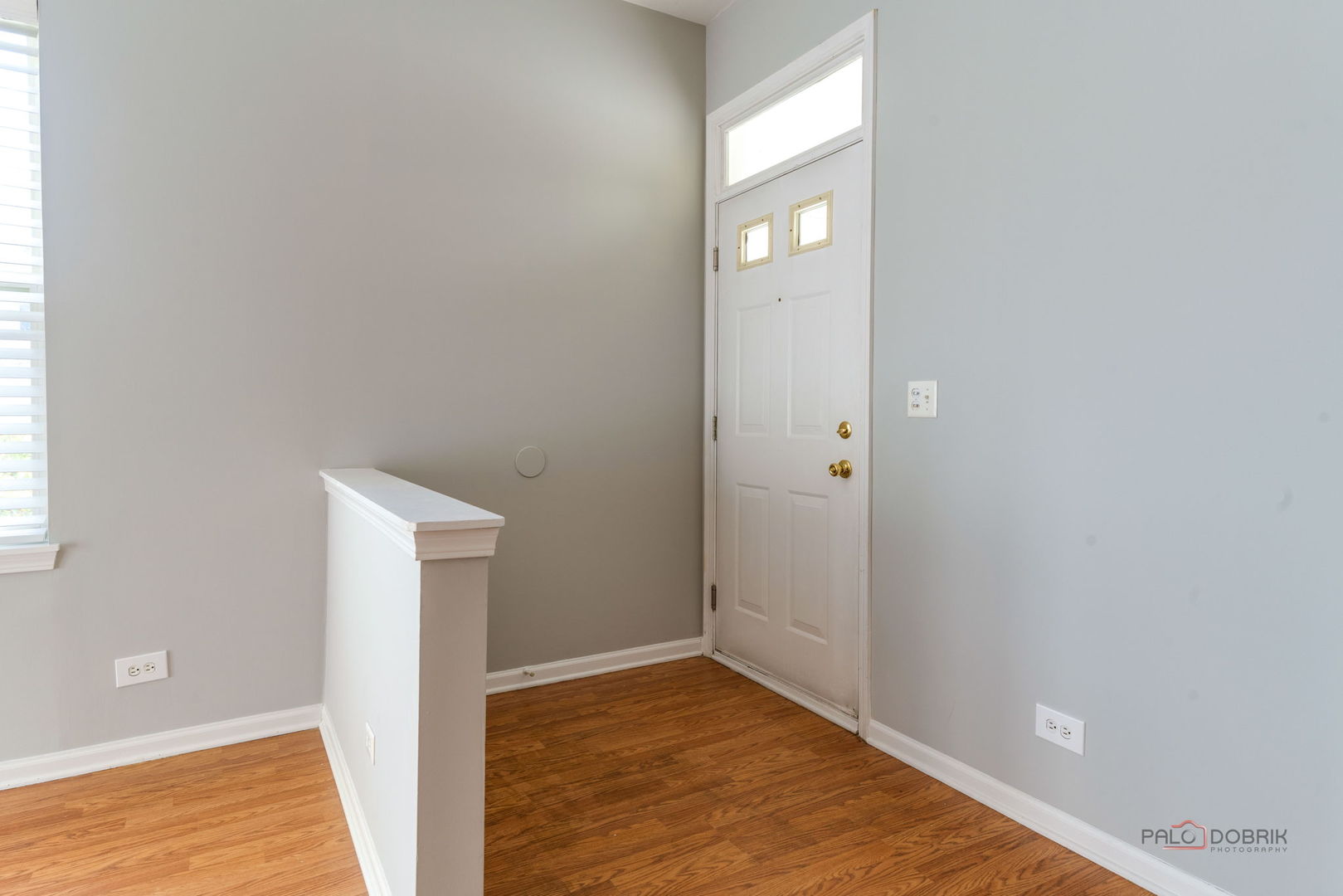 2858 Falling Waters Lane, Lindenhurst, IL 60046