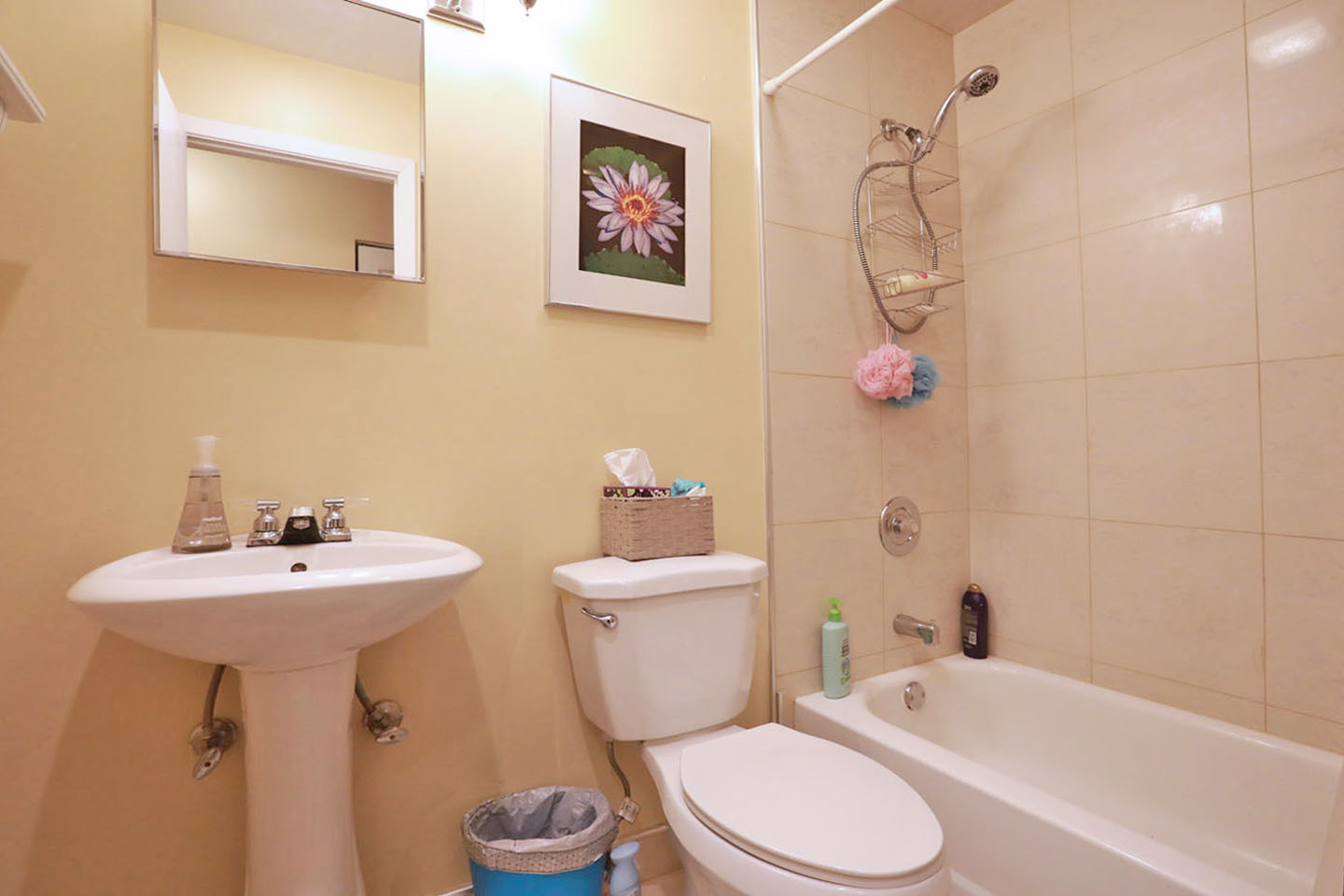 676 W Cross Creek Drive #B2, Roselle, IL 60172