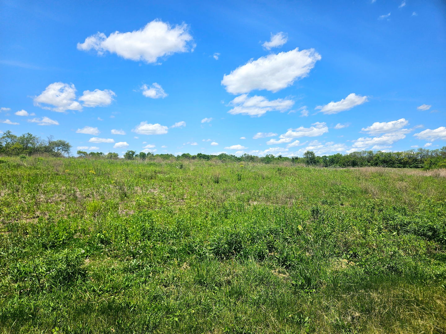24128 S Harlem Avenue, Frankfort, IL 60423