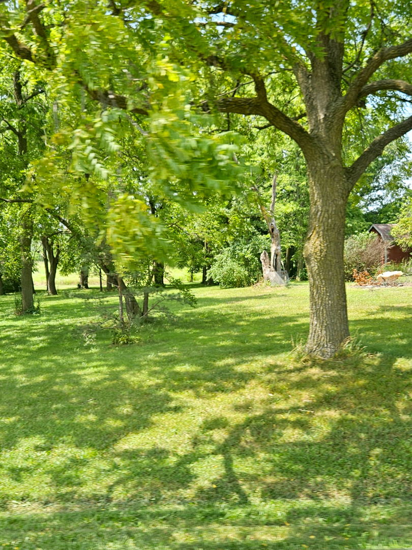 24128 S Harlem Avenue, Frankfort, IL 60423