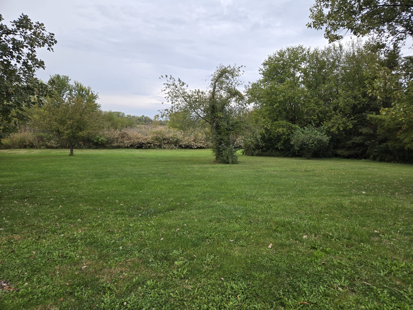 24128 S Harlem Avenue, Frankfort, IL 60423