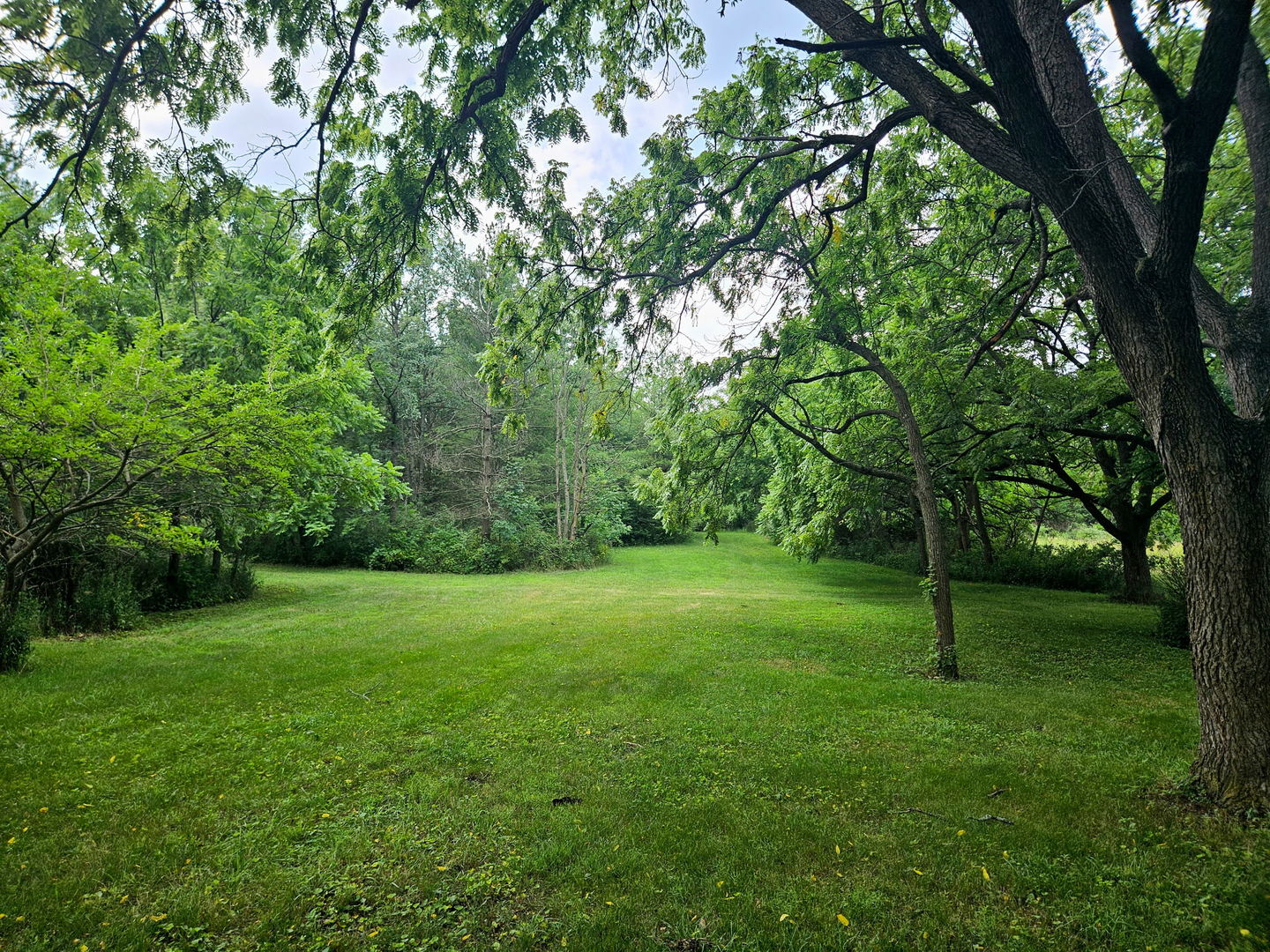 24128 S Harlem Avenue, Frankfort, IL 60423