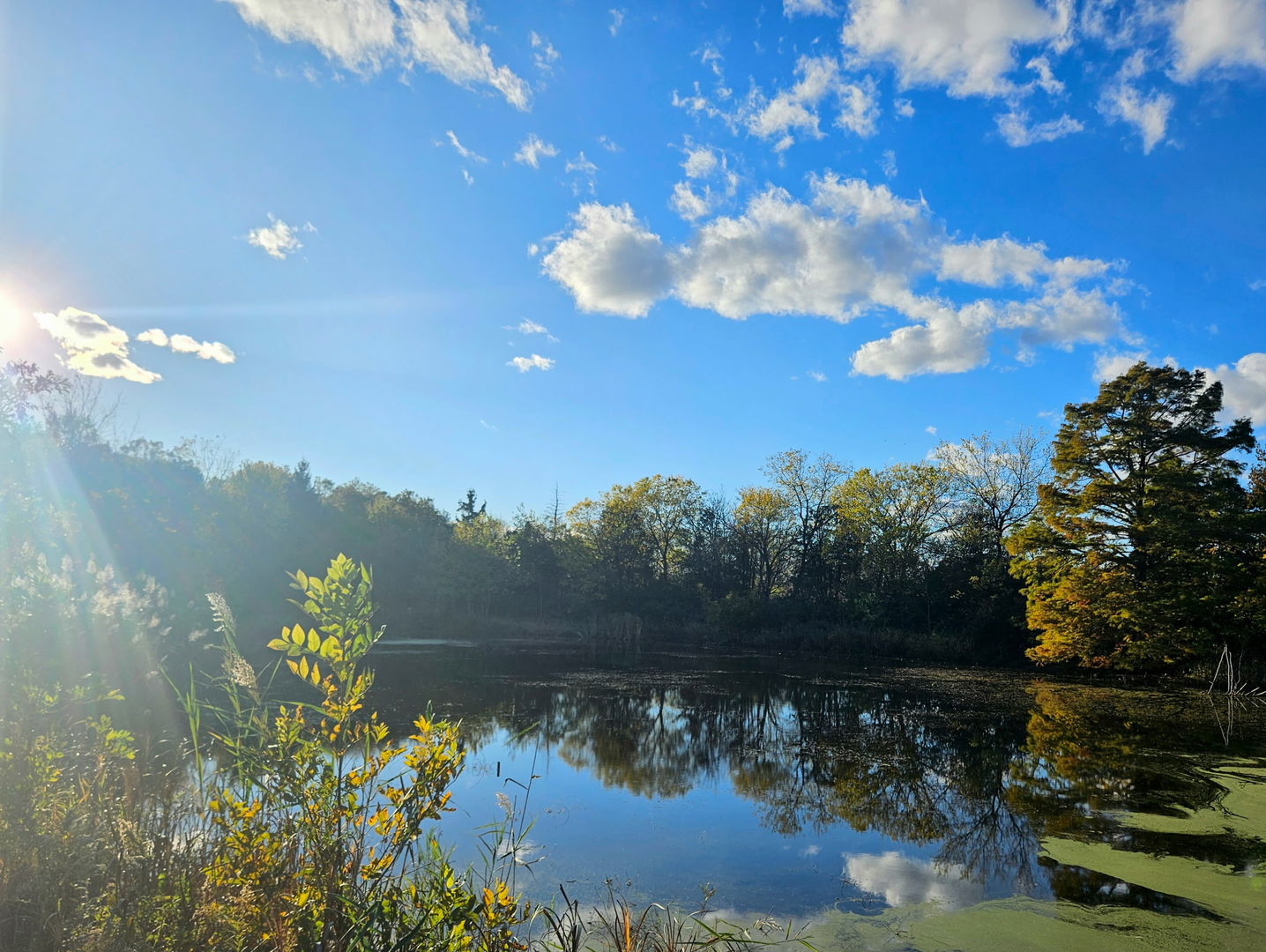 24128 S Harlem Avenue, Frankfort, IL 60423