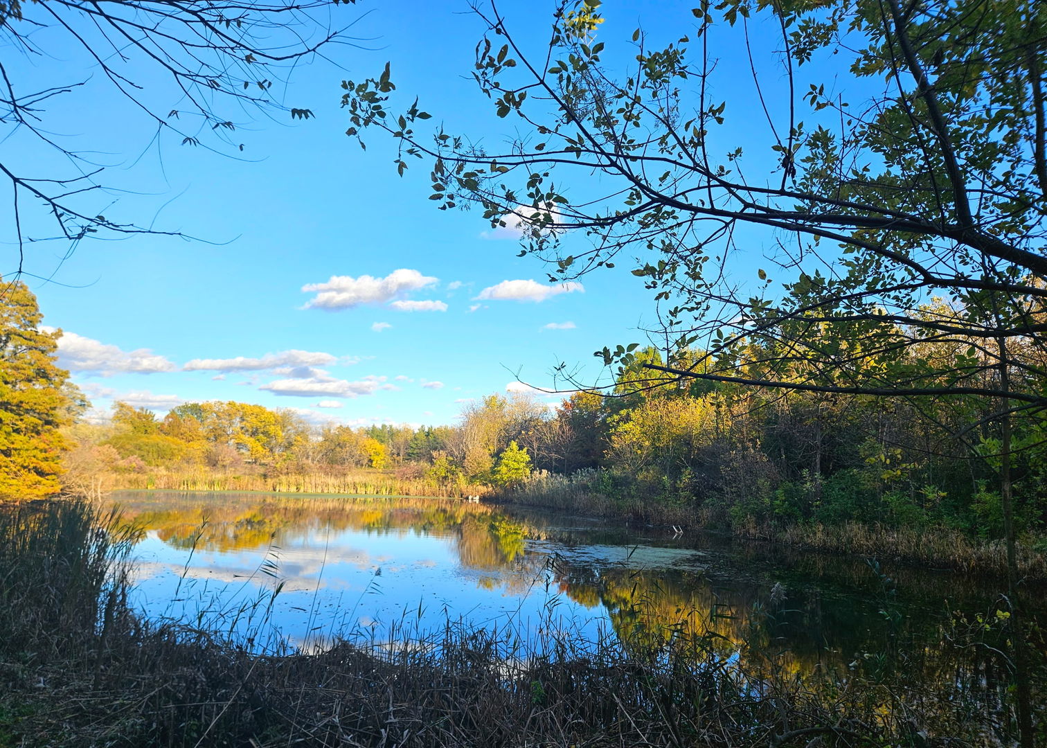 24128 S Harlem Avenue, Frankfort, IL 60423