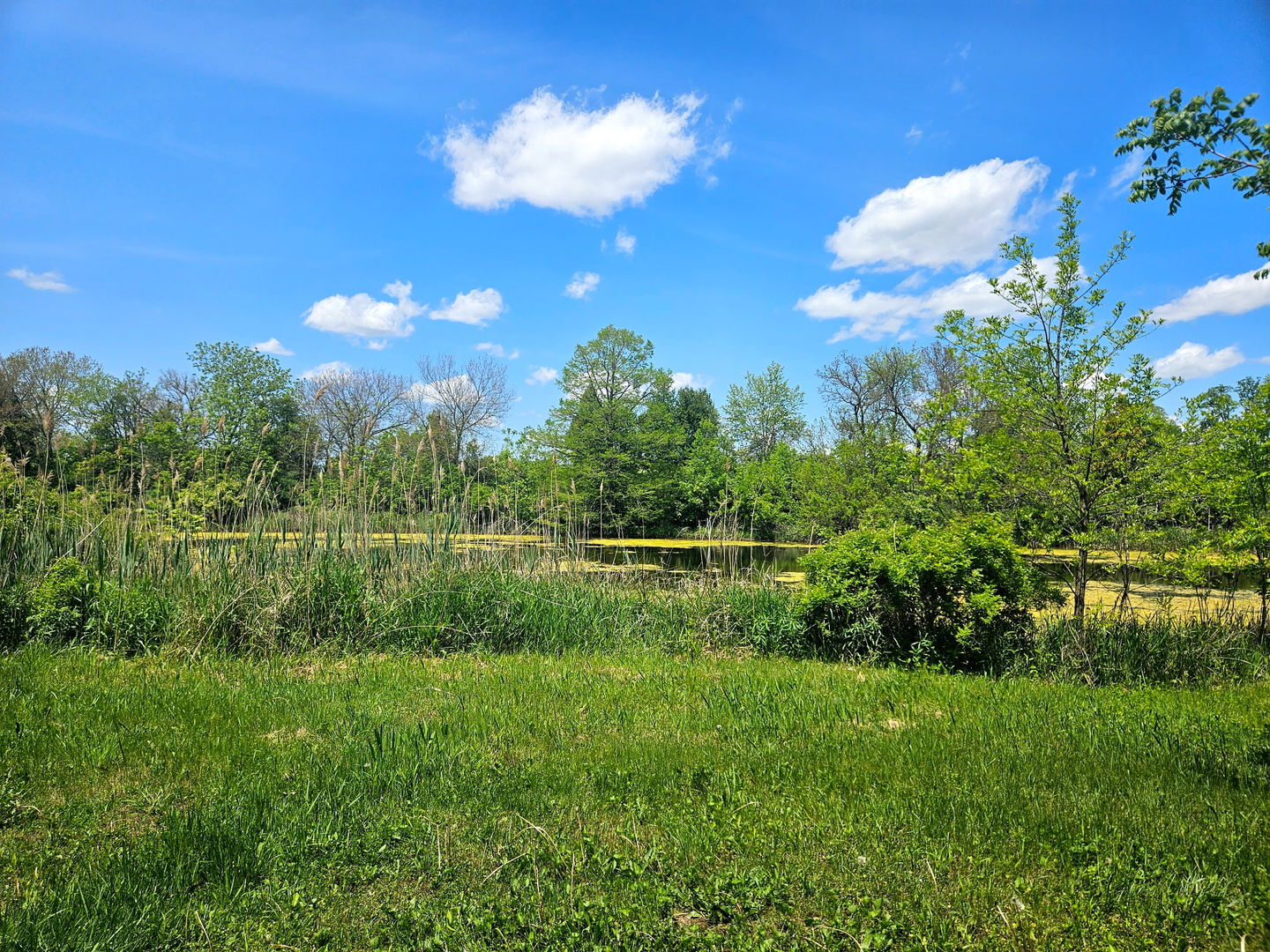 24128 S Harlem Avenue, Frankfort, IL 60423