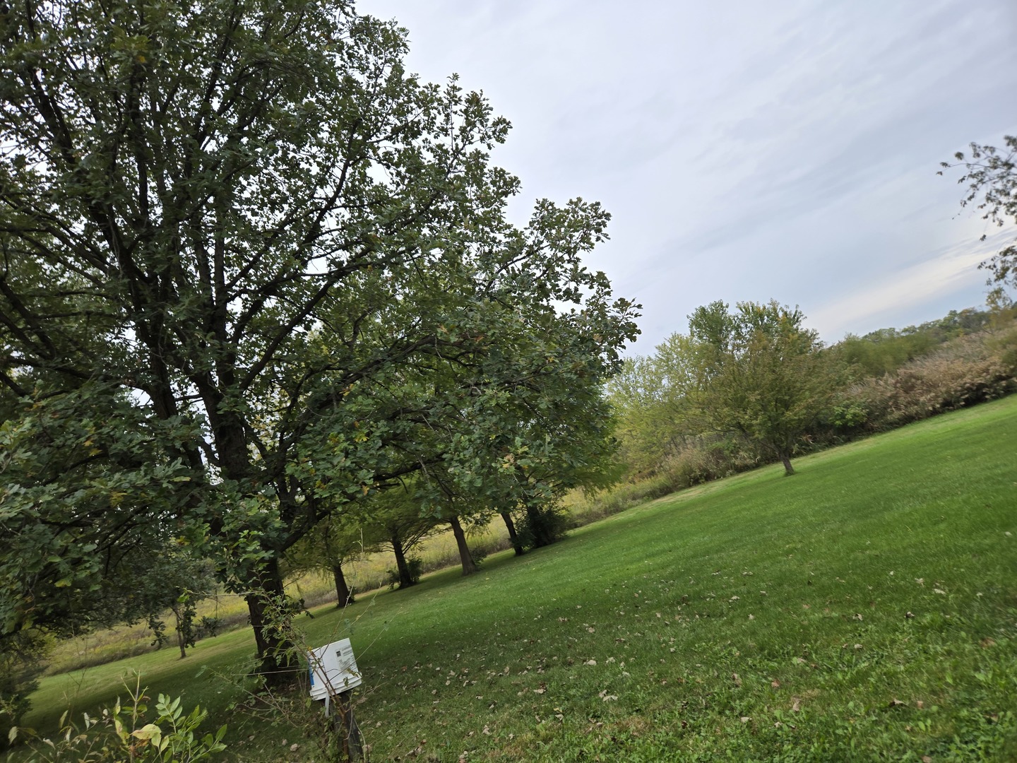 24128 S Harlem Avenue, Frankfort, IL 60423